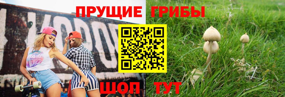 Галлюциногенные грибы мицелий  Вход с VPN  Аргун 
