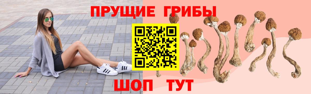 Галлюциногенные грибы прущие грибы Аргун